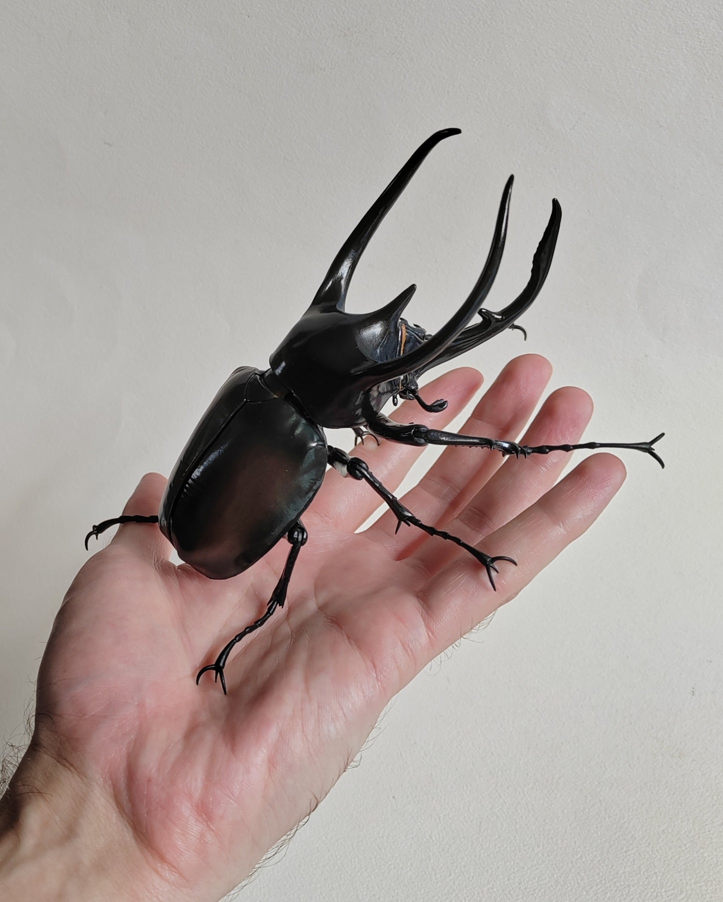 Japanese Beetle figures by Bandai (& others!)