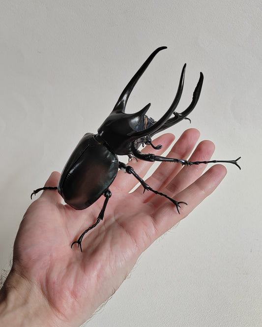 Japanese Beetle figures by Bandai (& others!)