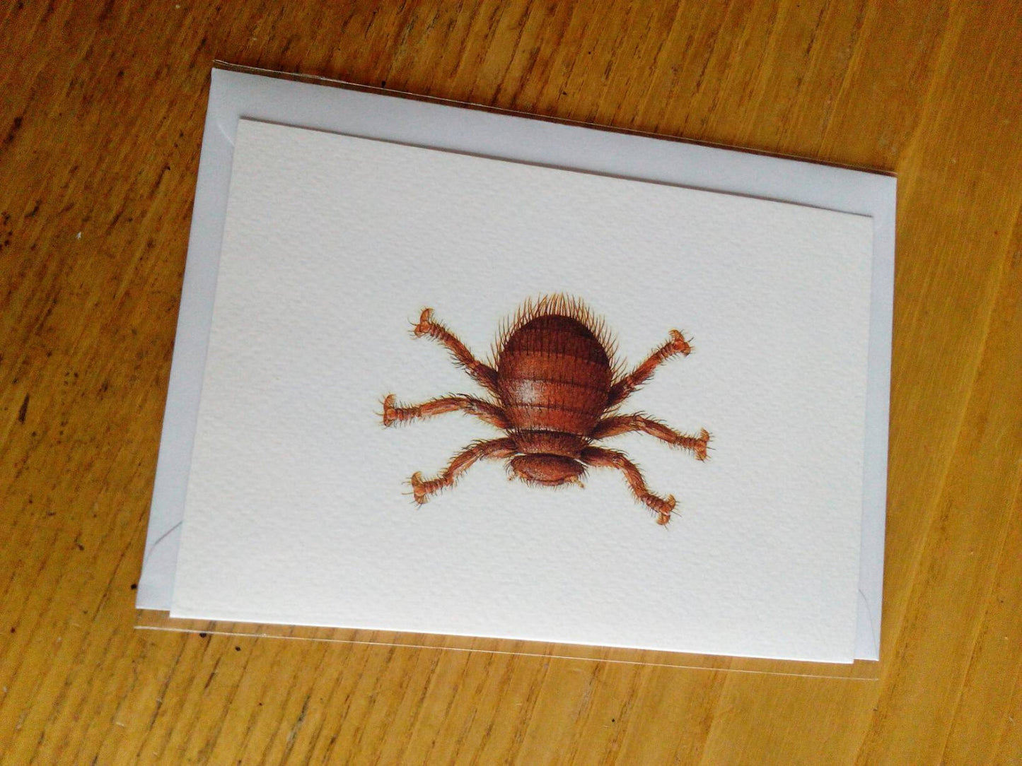 Bee Louse greetings card