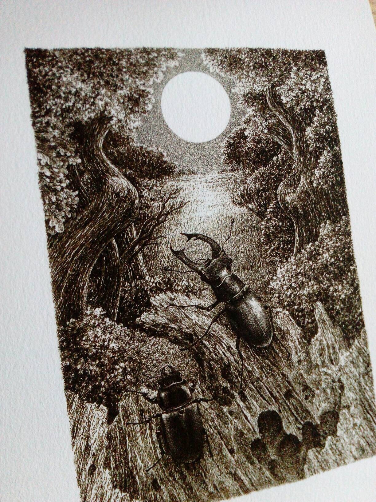 A4 sized print - Stag Beetles & Full Moon, limited edition