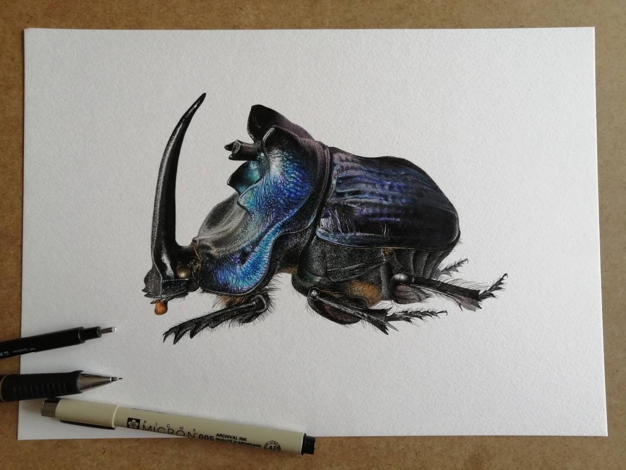 Coprophanaeus lancifer A4 size limited edition art print, signed and numbered. Scarab Beetle