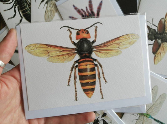 Greetings Card - Vespa mandarinia Queen. Giant Asian Hornet