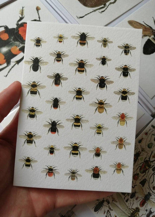Greetings card - Bumblebees of Britain