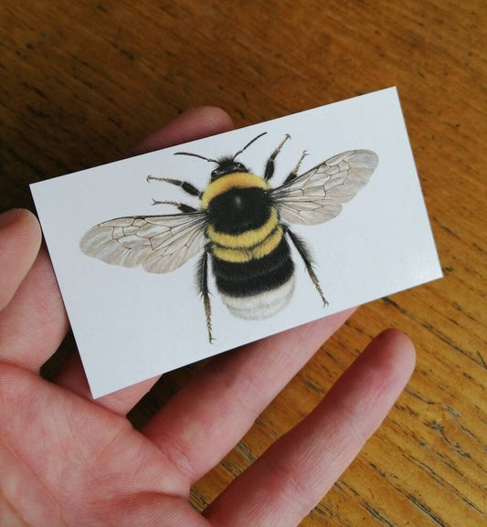 Bumblebee magnet, Bombus hortorum 8.5x5cm