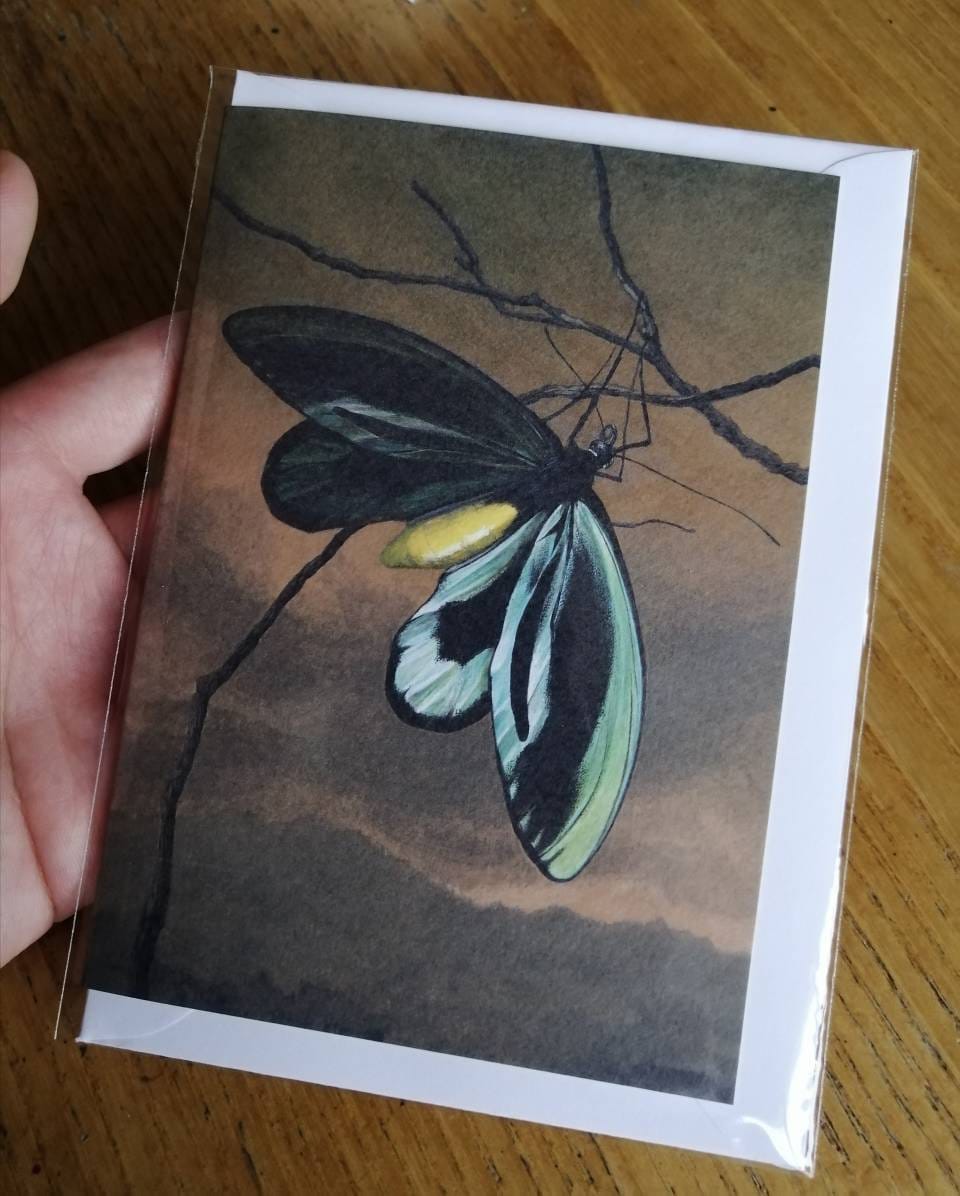 Ornithoptera alexandrae greetings card - Queen Alexandra Birdwing Butterfly