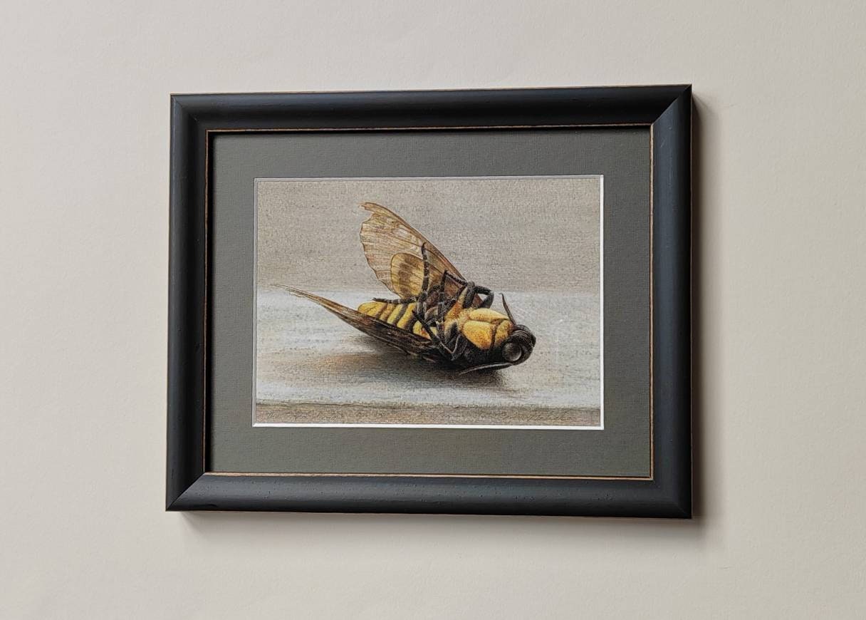 Limited edition art print - The Closed Window. Death's Head Hawk Moth, Acherontia atropos
