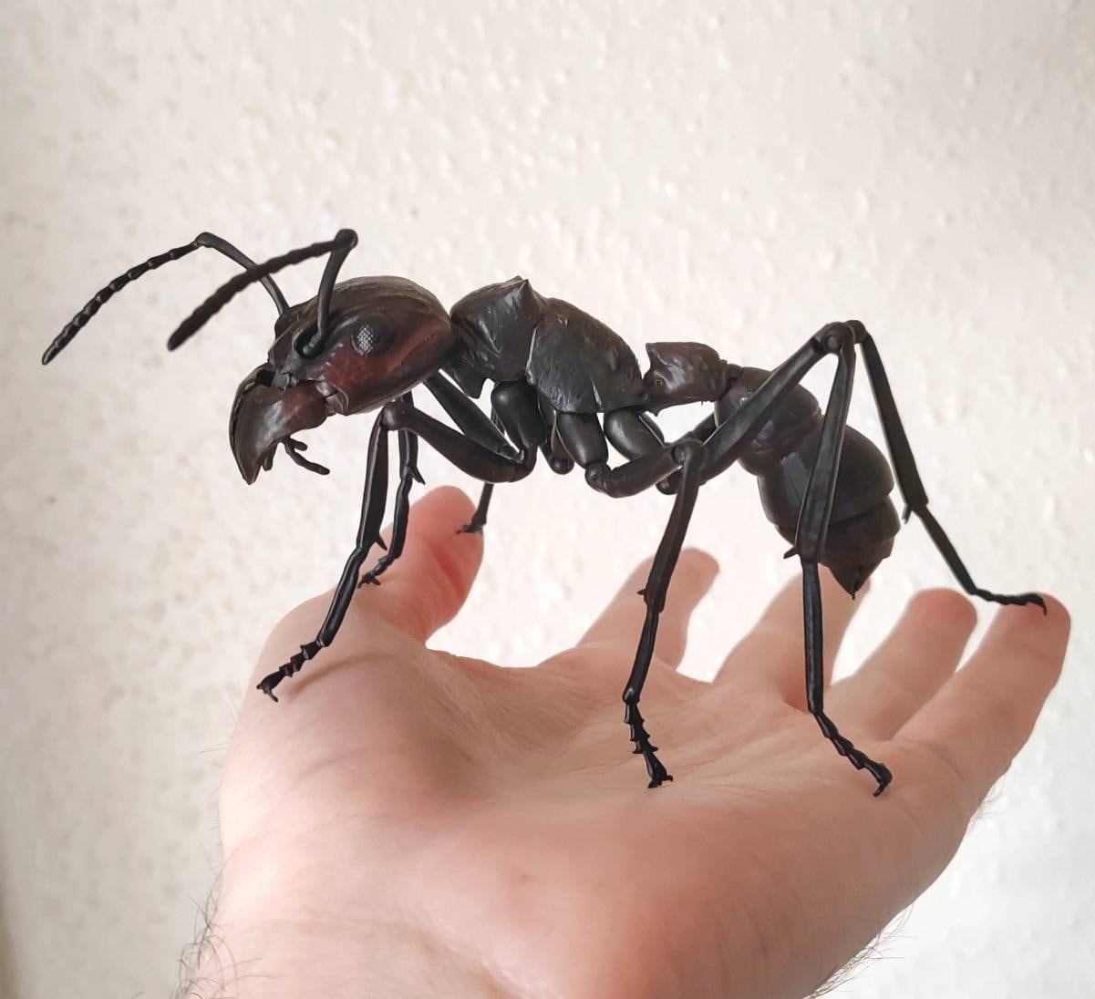 Bullet Ant, Paraponera clavata, Japanese fully posable figure (And other ants!) made by Bandai