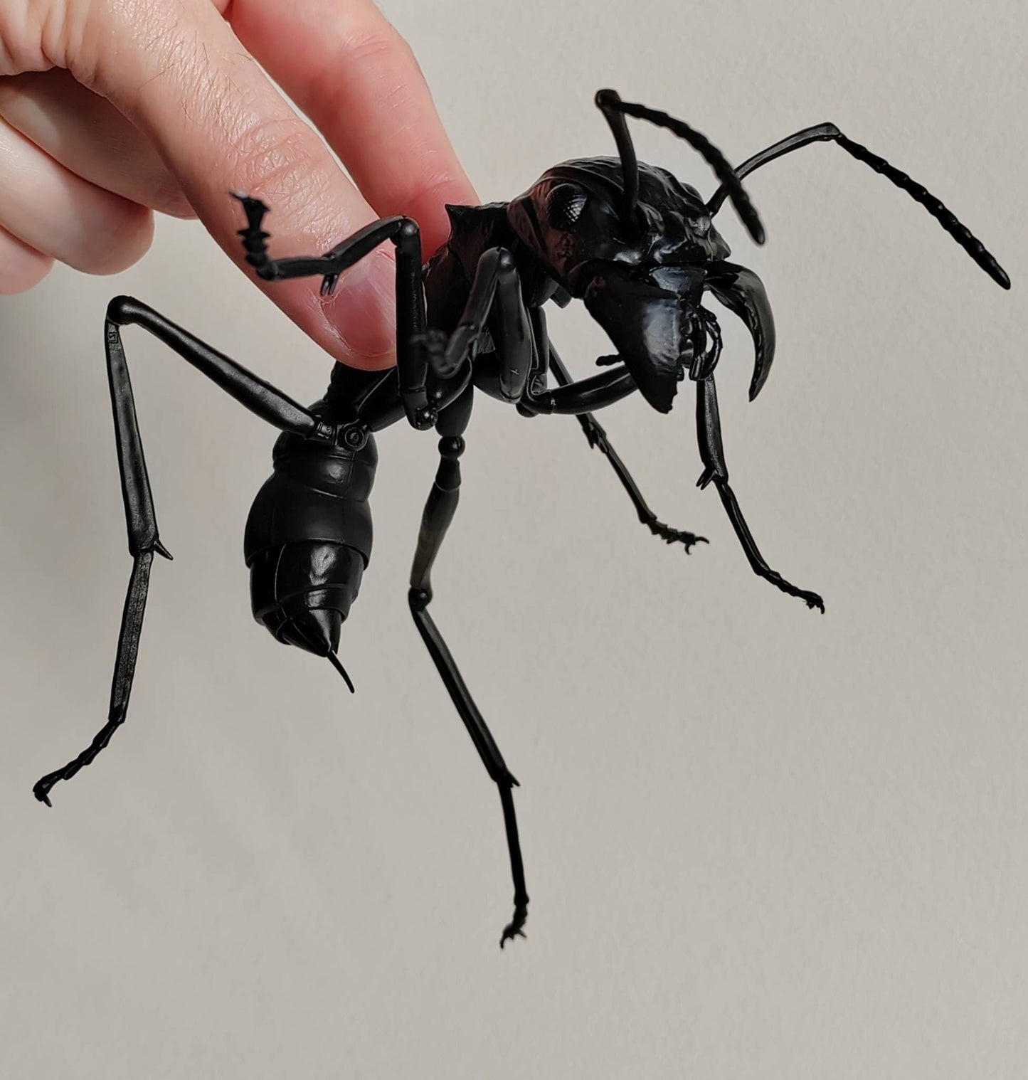 Bullet Ant, Paraponera clavata, Japanese fully posable figure (And other ants!) made by Bandai