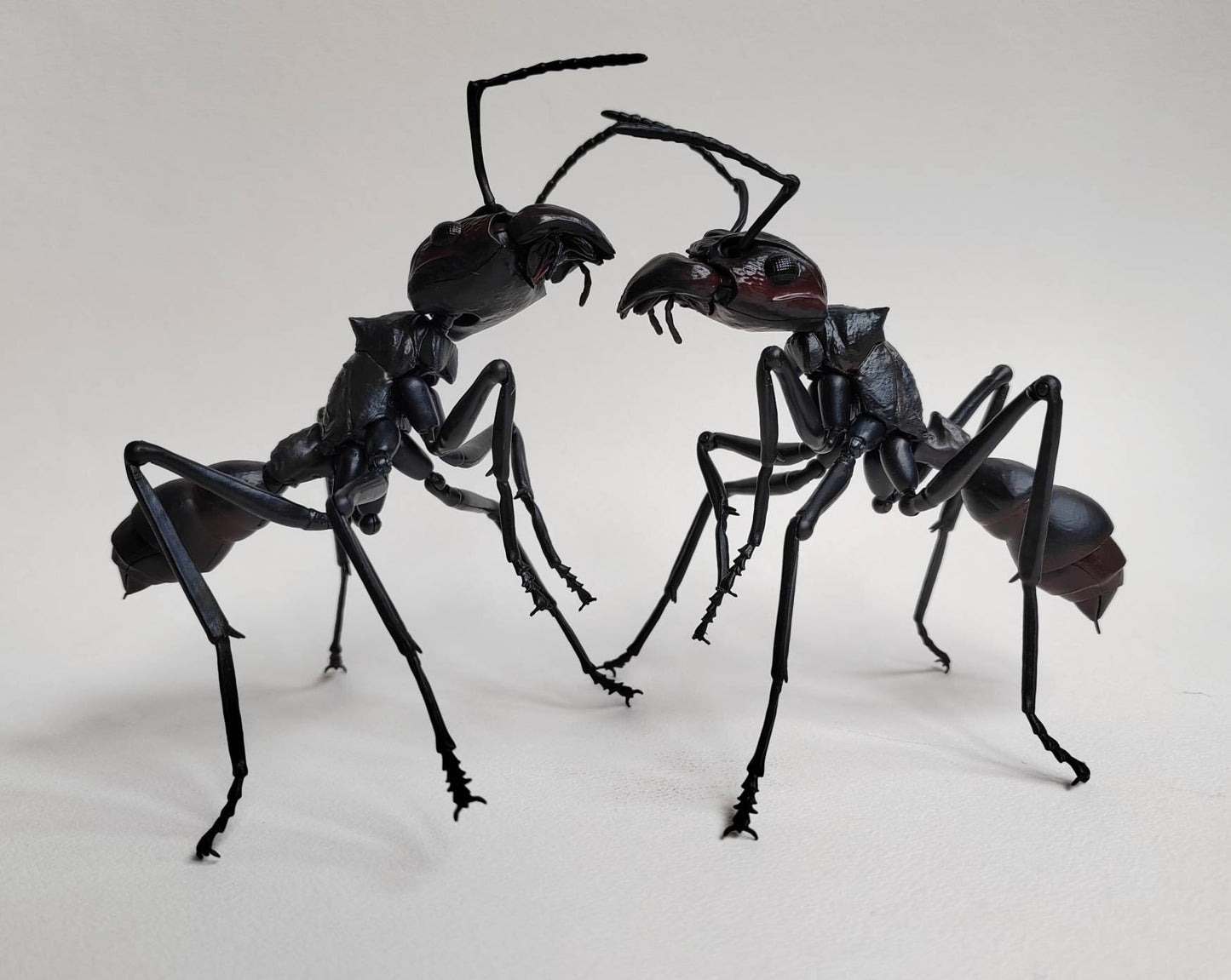 Bullet Ant, Paraponera clavata, Japanese fully posable figure (And other ants!) made by Bandai