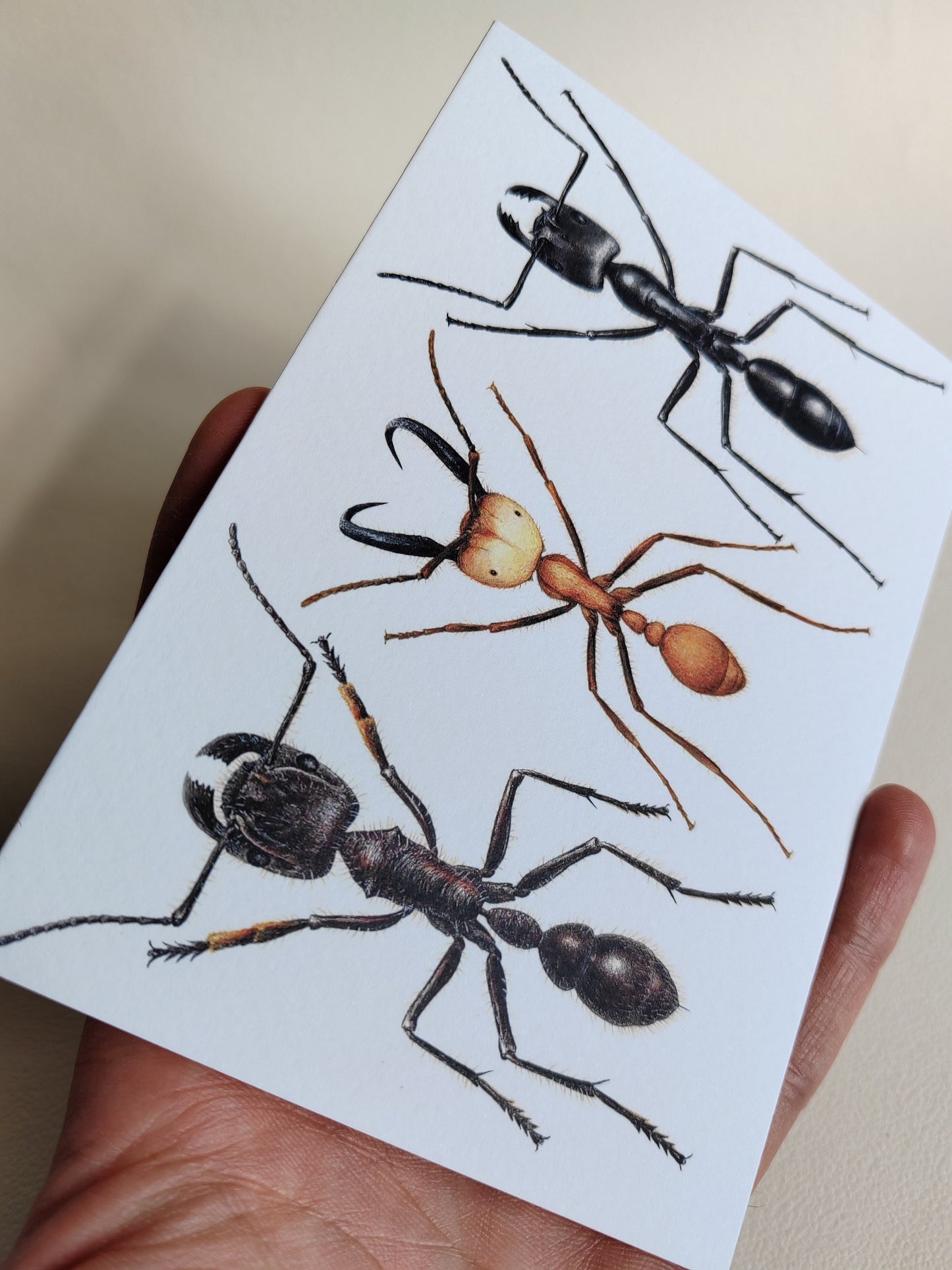 Giant Ants Greetings Card