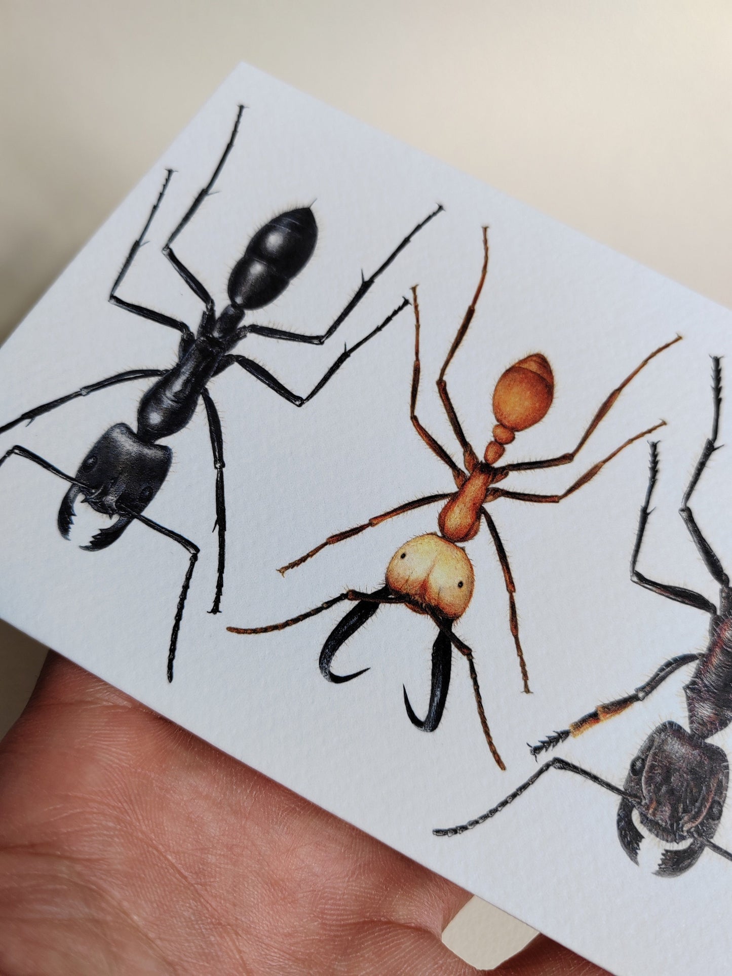 Giant Ants Greetings Card