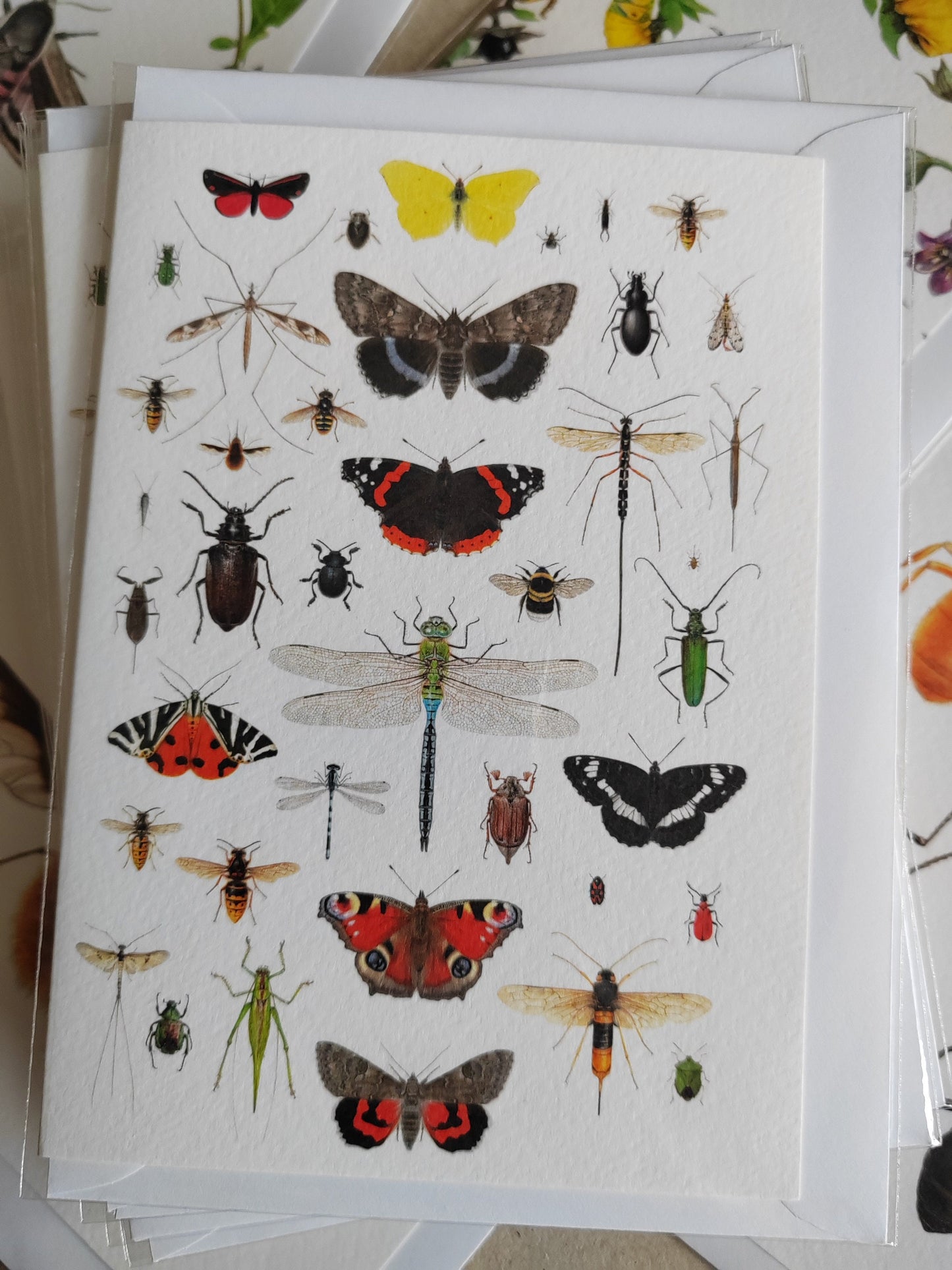 British Insects Greetings Card (version 2)