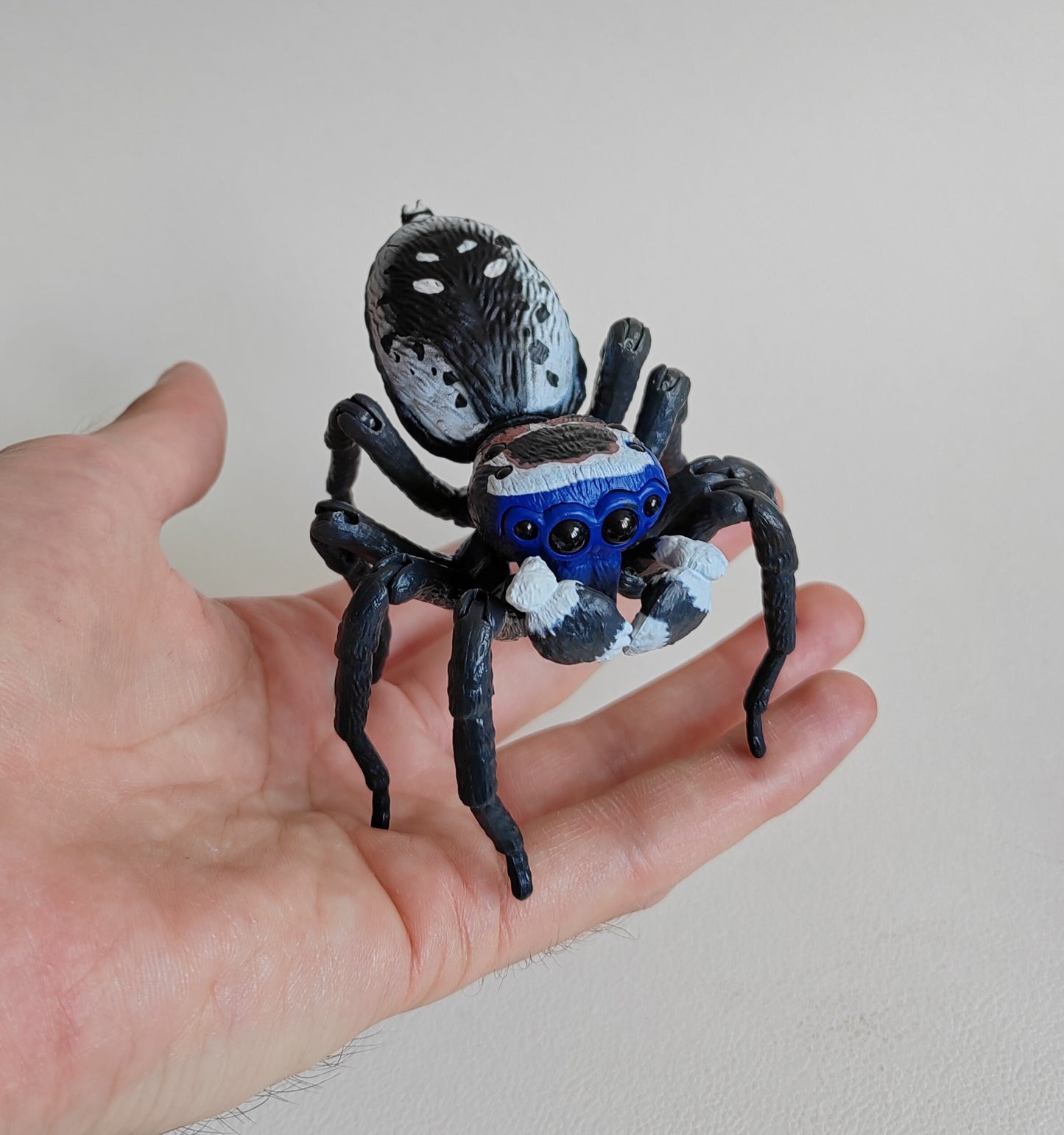 Peacock jumping spider figures, Japanese exclusives made by BANDAI