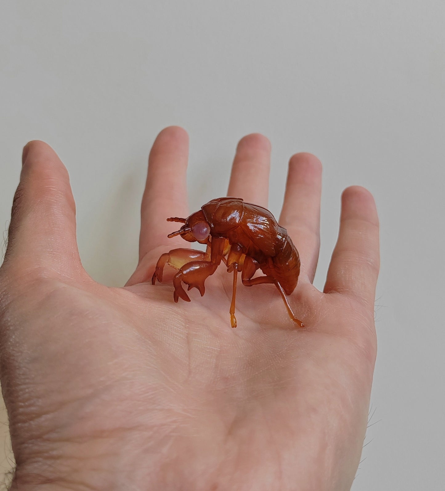 Insect models from the Ichiban Kuji series (rare!)