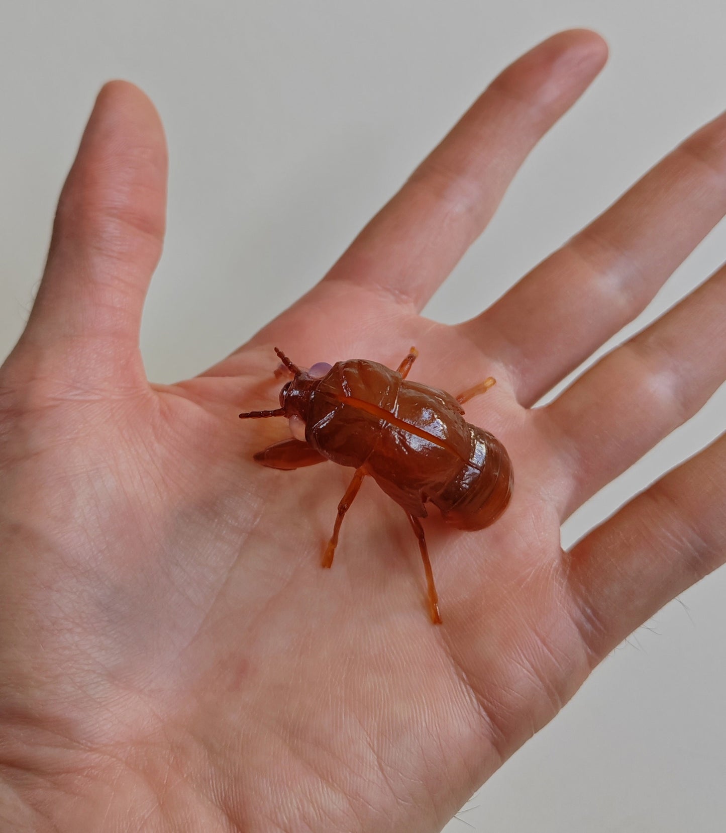 Insect models from the Ichiban Kuji series (rare!)