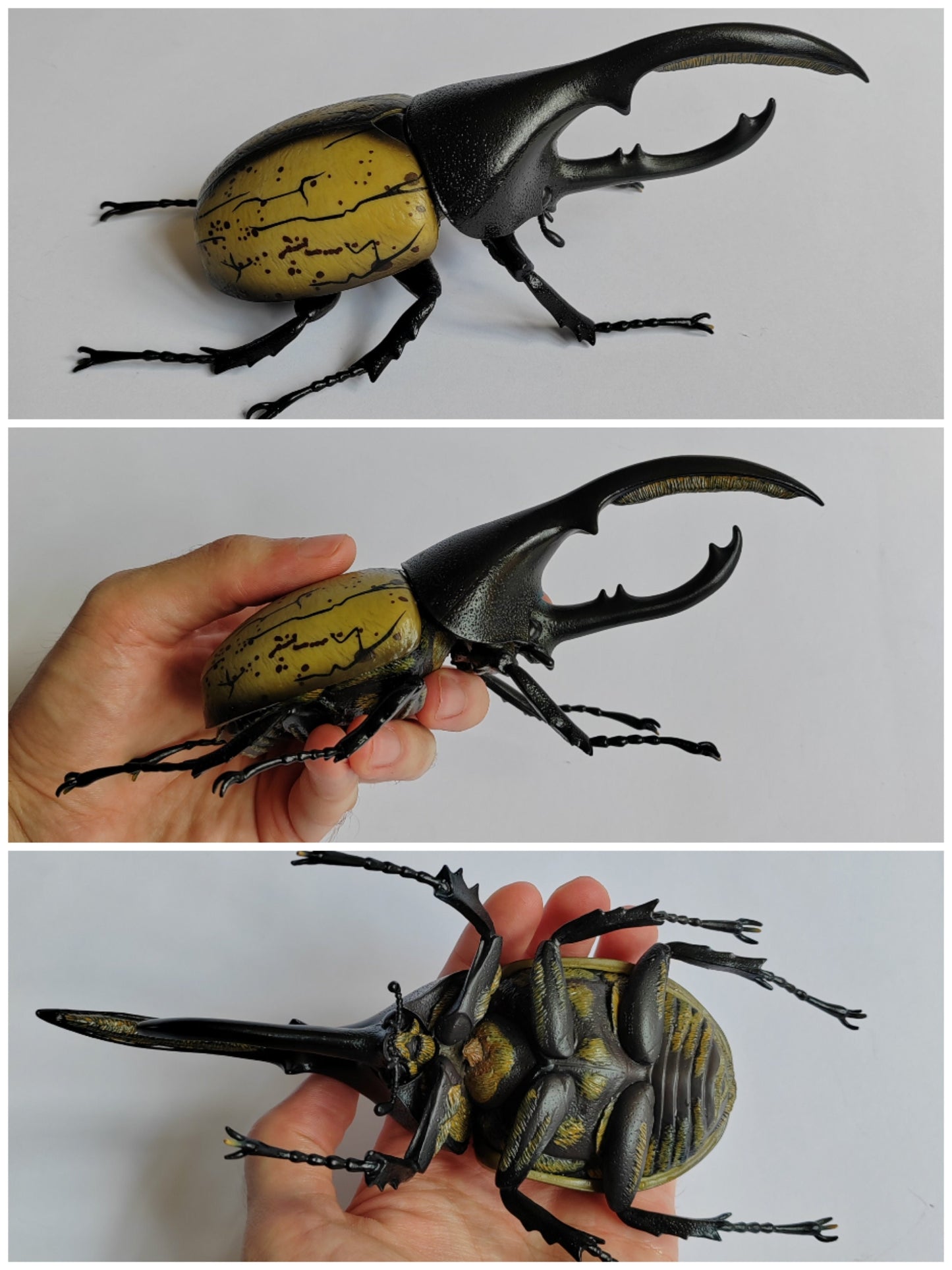 Insect models from the Ichiban Kuji series (rare!)