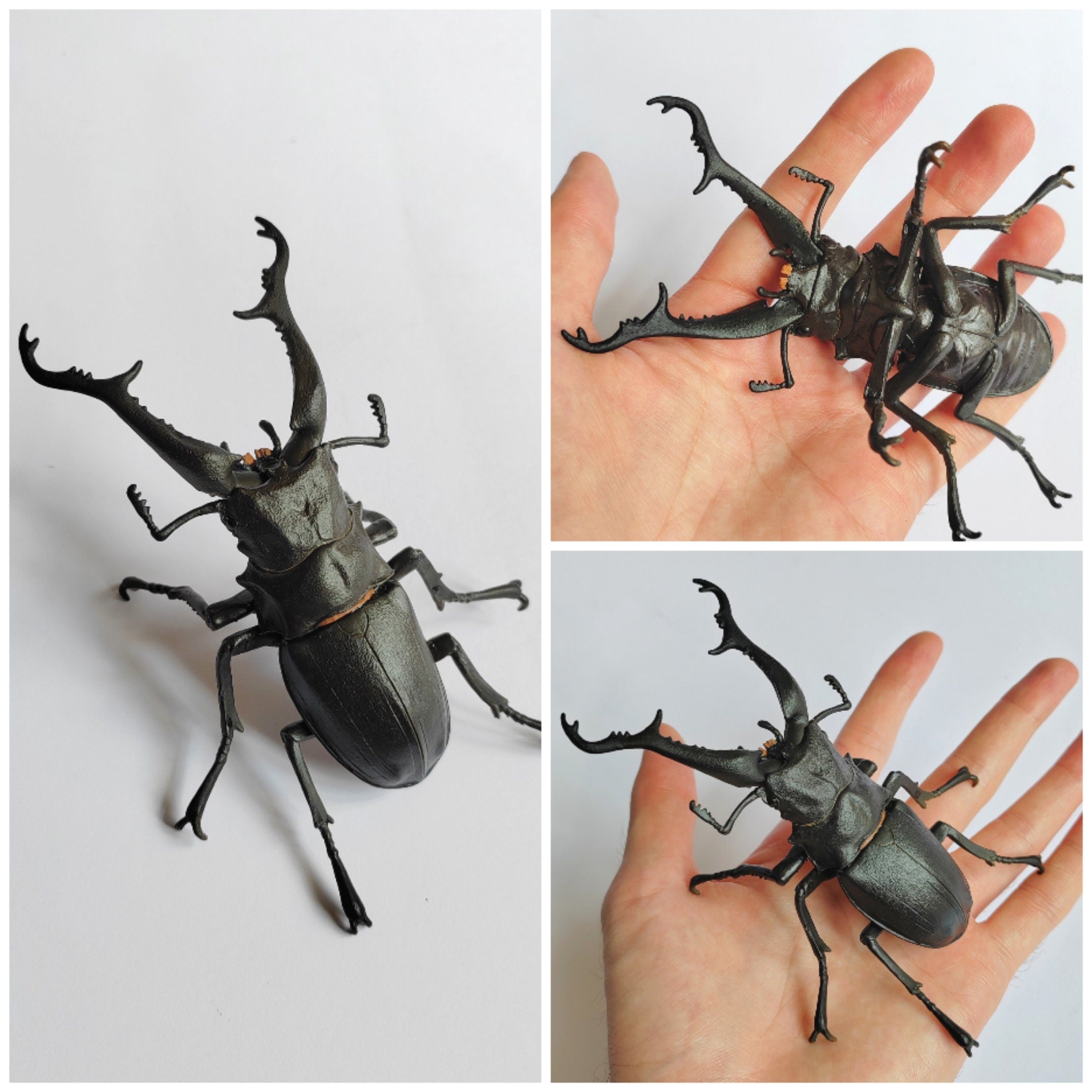 Insect models from the Ichiban Kuji series (rare!) – Carim Nahaboo Artwork