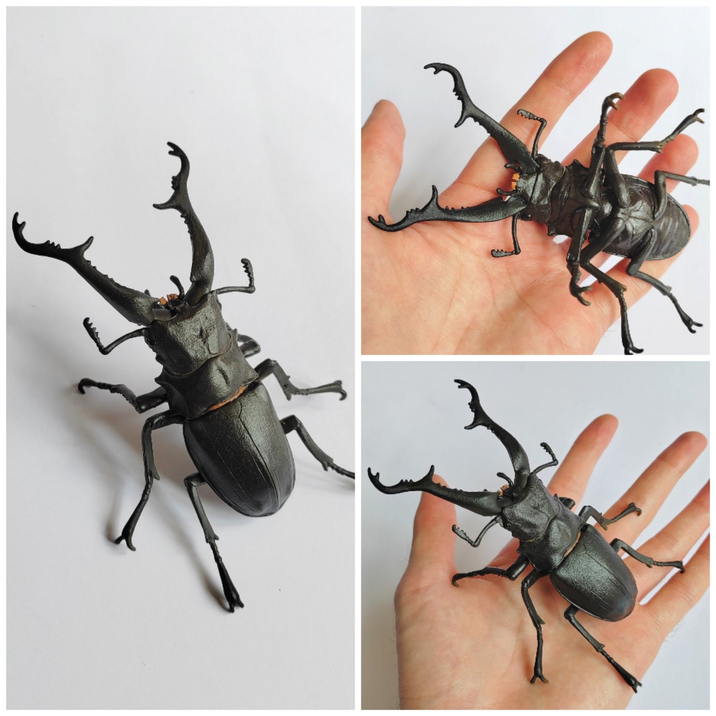 Insect models from the Ichiban Kuji series (rare!)