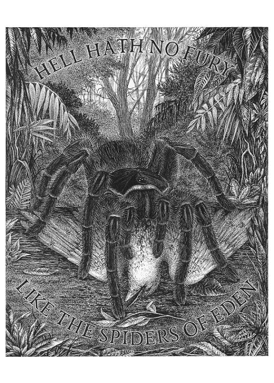 Spider of Eden A4 limited edition art print